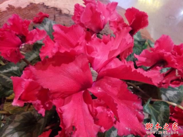 ����R9ֵ�����𣿿���R9�ֻ�ȫ����ϸ����ͼ��