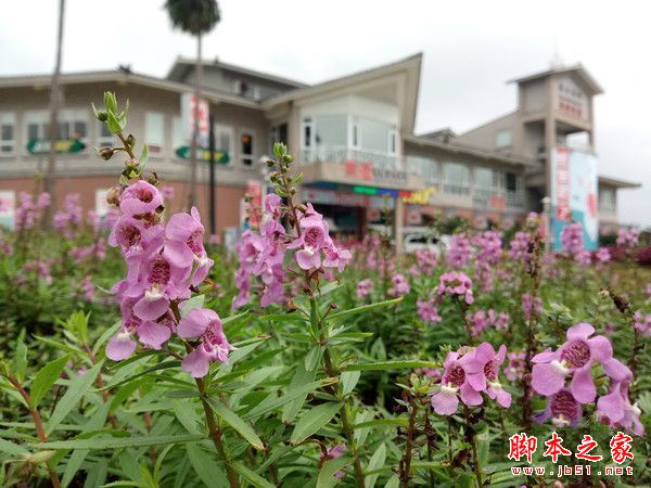 华硕ZenFone飞马3s值得买吗？华硕飞马3s全面详细评测图解