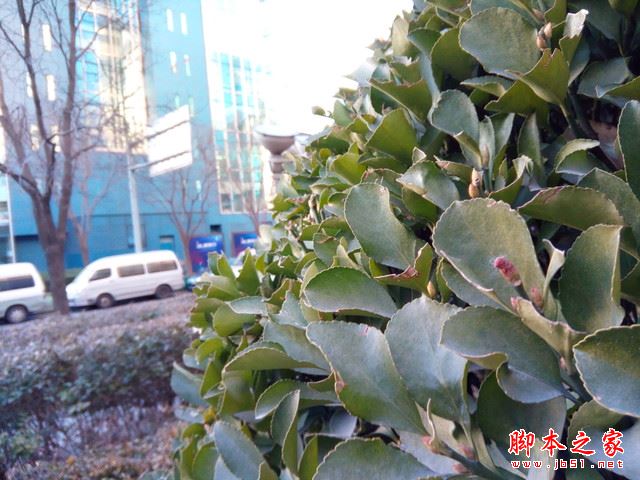 酷比M9Plus值得买吗？酷比M9Plus手机全面详细评测图解