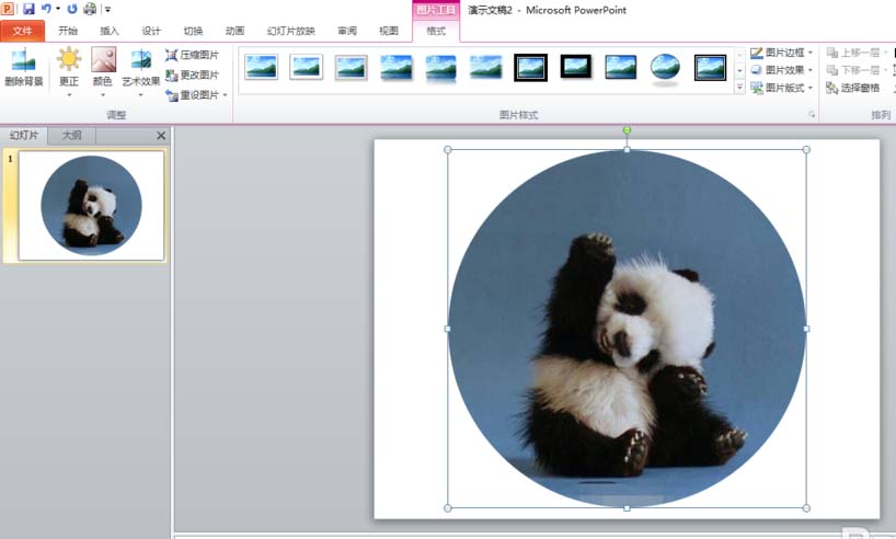 ppt图片怎么裁剪成圆形图?