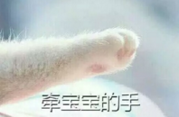 牵宝宝的手猫爪图片