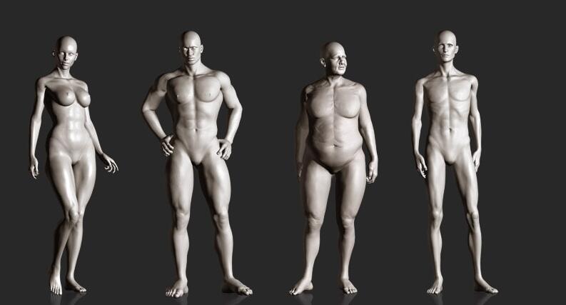 Character Creator(3D角色模型制作软件)