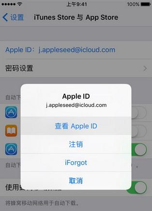 Apple ID付款方式没有