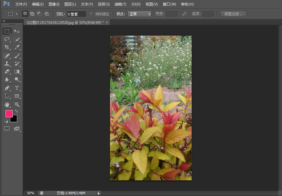 photoshop cs6怎么替换颜色 photoshop cs6给植物图片替换颜色教程”