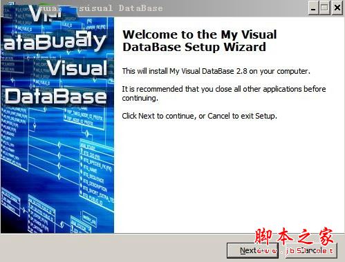 My Visual Database(数据库编程工具)