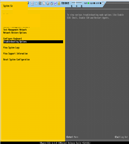 VMware Esxi 6.5