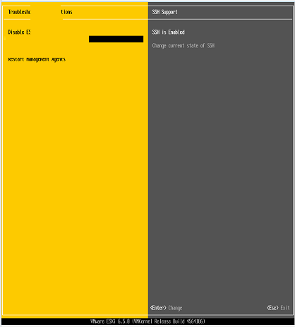 VMware Esxi 6.5