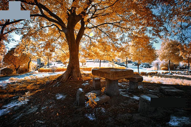 光束大师64位汉化版