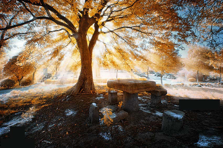 光束大师64位汉化版