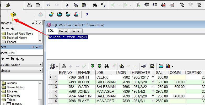 plsql10.0.5汉化包