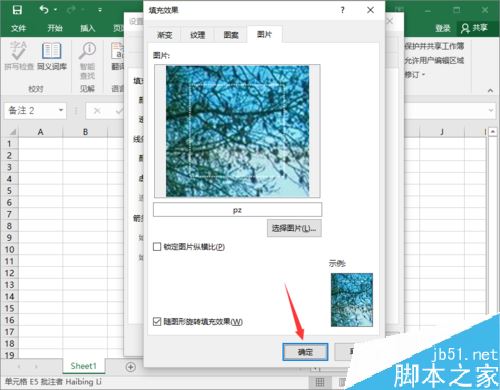 Excel2016怎么插入图片批注？Excel2016插入图片批注方法