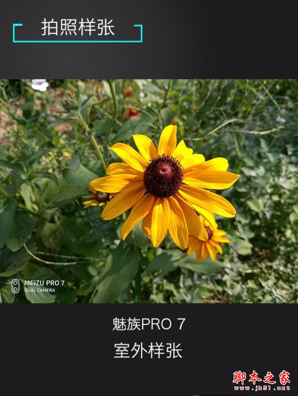 努比亚Z17和魅族PRO7/夏普S2哪个好？努比亚Z17和魅族PRO7/夏普AQOUS S2对比评测