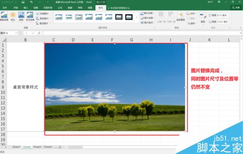 Excel2016怎么替换已插入的图片？Excel2016替换图片教程