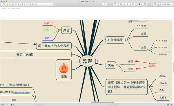 ithoughtsx Mac 破解