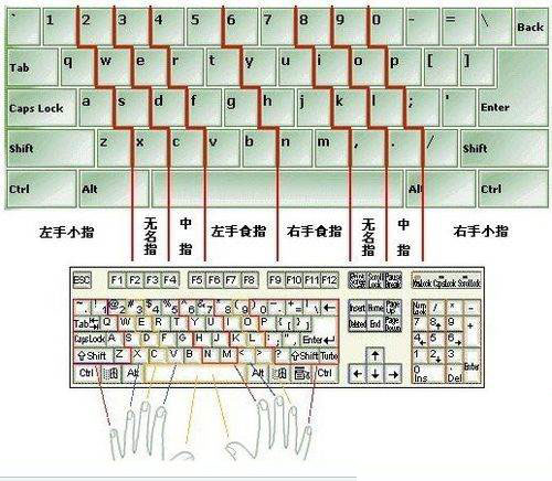 怎样才能练好标准的打字方法？电脑键盘打字指法教学