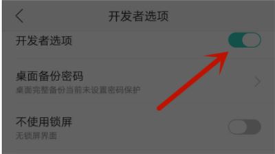 oppor15怎么开启开发者选项？oppor15开启/关闭开发者选项教程