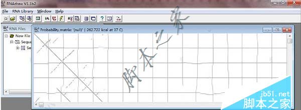 RNAdraw下载 RNAdraw(RNA二级结构分析软件) v1.1b2 绿色汉化版