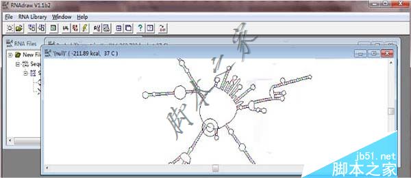 RNAdraw下载 RNAdraw(RNA二级结构分析软件) v1.1b2 绿色汉化版