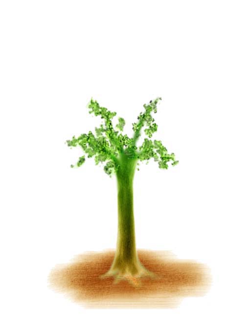 ppt怎么制作树苗慢慢成长成大树的动画