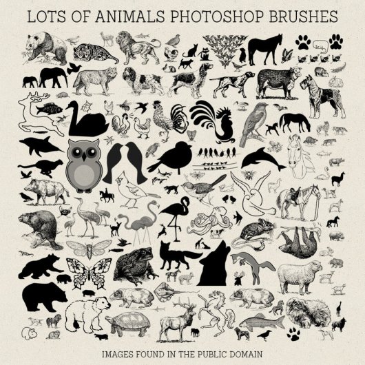 Photoshop可爱卡通动物图案素材笔刷 最新免费版 
