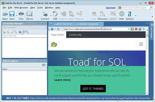 Toad for SQL Server