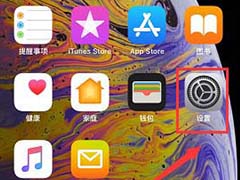 iPhone XS max壁纸怎么设置?