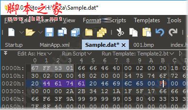 010 Editor破解版下载 16进制文件编辑器(SweetScape 010 Editor Portable) v9.0 英文绿色版