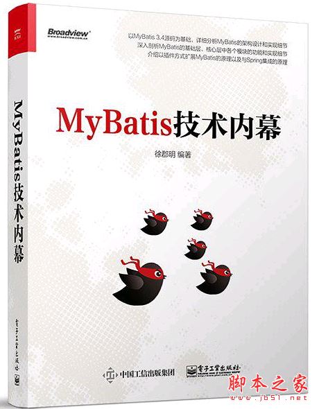 MyBatis技术内幕 中文pdf扫描版[180MB] 