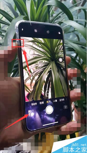 iphone xs max怎么用音量键拍照？iphone xs max音量键拍照教程