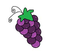 画图工具怎么画彩色的葡萄?