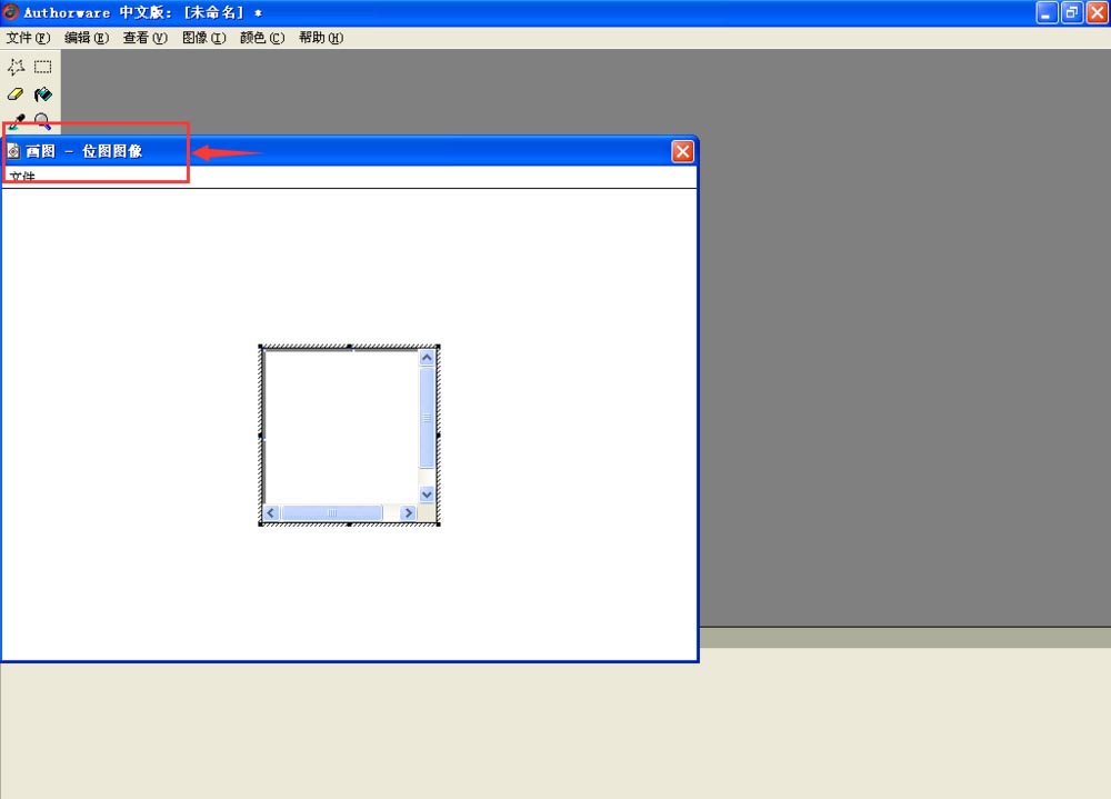 authorware画图程序怎么绘制花朵图形?_图形图像_软件教程_脚本之家