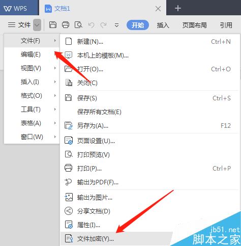 WPS  2019怎么加密文件？WPS  2019加密文档教程