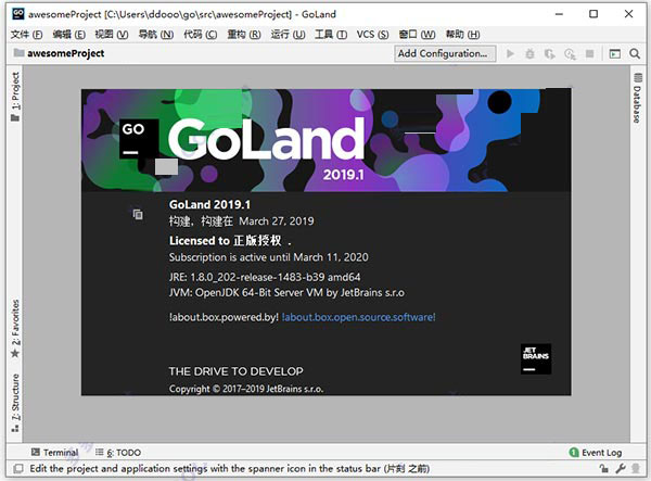 goland 2019.1中文补丁