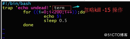 分类shell 下的文章 带你疯