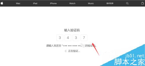 苹果手机app store下载验证码不显示怎么办？