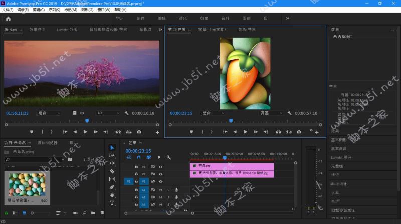 Adobe Premiere Pro(视频/音频编辑软件) 2019 v13.1.5.47 绿色版