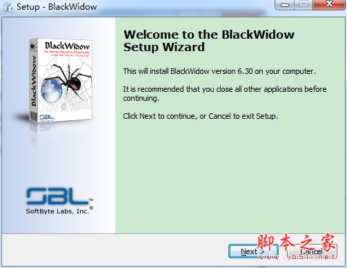 离线浏览器下载 BlackWidow(离线浏览器) v6.3 免费安装版