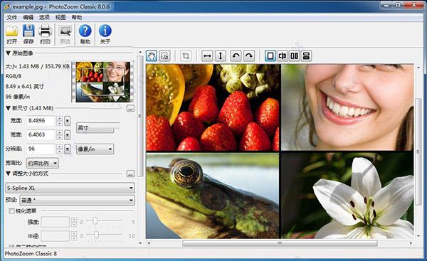 PhotoZoom Classic 8中文破解版