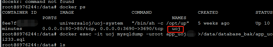 docker 使用mysqldump命令备份导出项目中的mysql数据”