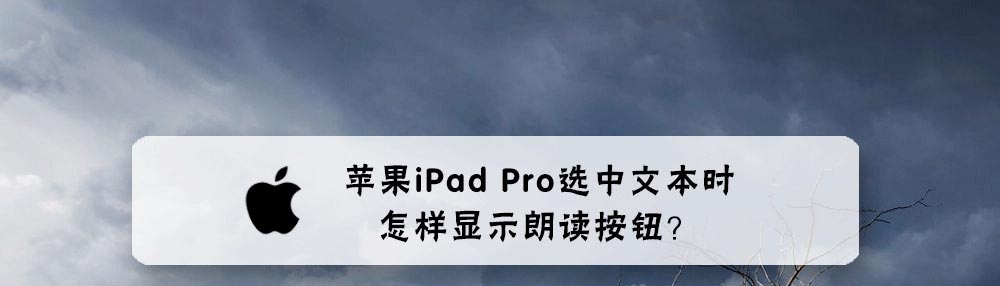 苹果iPad Pro平板怎么实现选中文本可以进行朗读?”