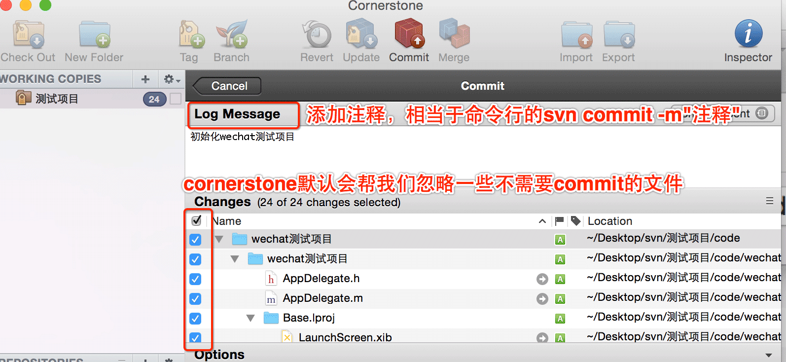 Cornerstone For Mac v4.1.0