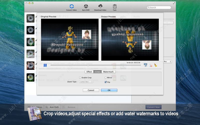 视频转换下载录制软件 Any Video Converter  Mac v7.2.0 完美直装特别版