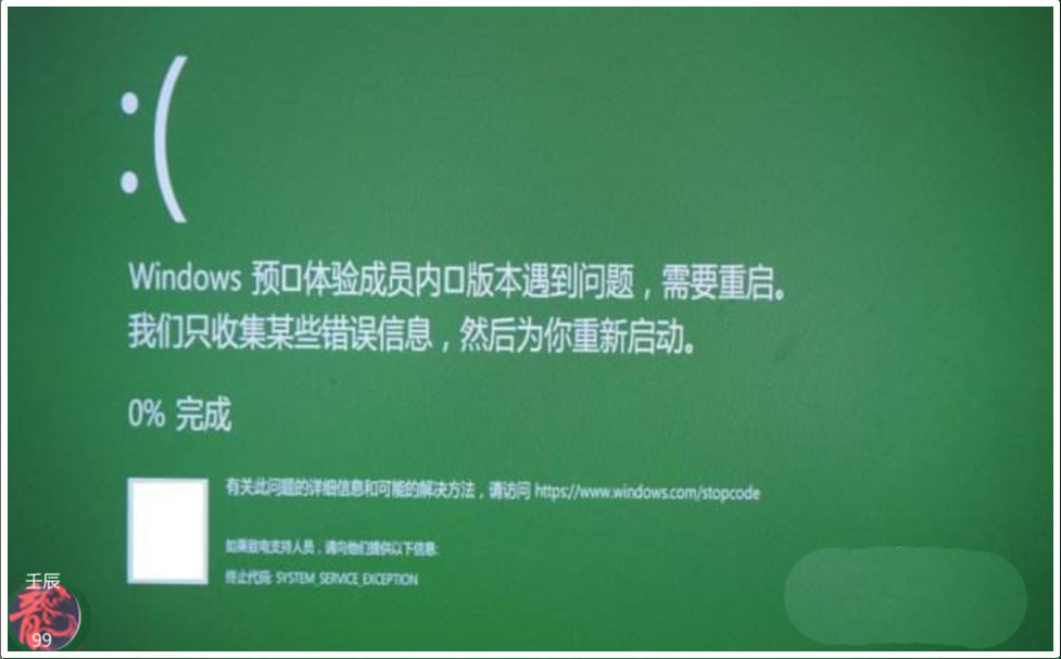 Win10预览版19555.1001更新后开机绿屏怎么办?”