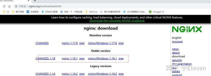 WebApi部署多服务器配置Nginx负载均衡的教程”