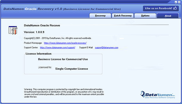 DataNumen Oracle Recovery破解版