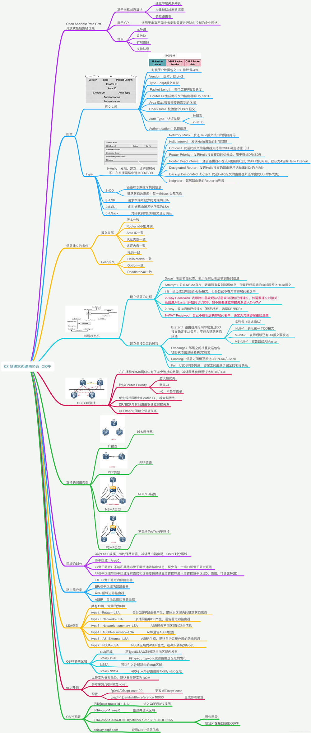 链路状态协议——OSPF