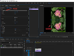 premire画面怎么添加倒影? pr倒影的制作方法