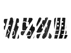 wps怎么制作斑马纹理填充的字体效果?