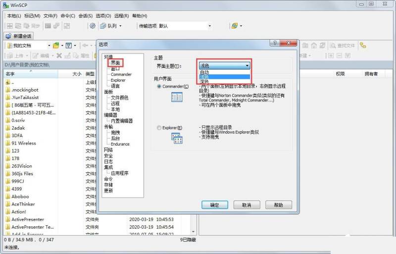 WinSCP怎么更改界面主题