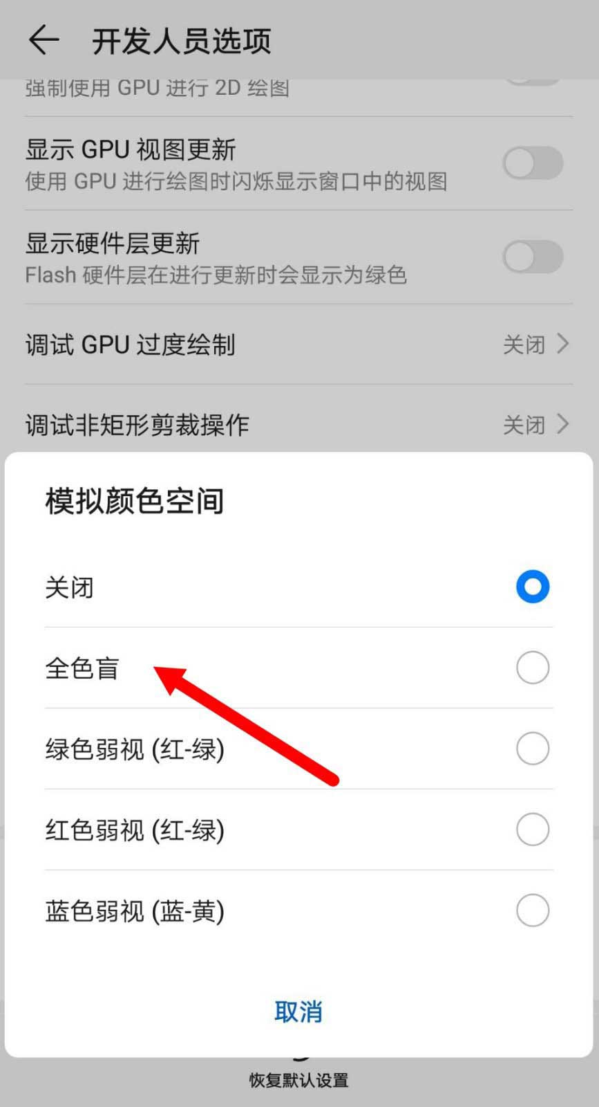 模拟空间颜色后边就会显示变成全色盲了,屏幕也将变成灰色,就可以